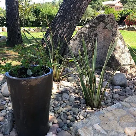 فيلة Pleasant Private Located In A Garden Of 8000m2 With Trees بورتو فيكشْيو