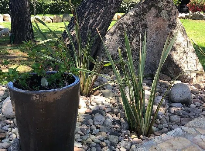 فيلة Pleasant Private Located In A Garden Of 8000m2 With Trees بورتو فيكشْيو