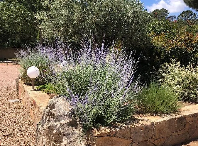 Pleasant Private Located In A Garden Of 8000m2 With Trees فيلة *