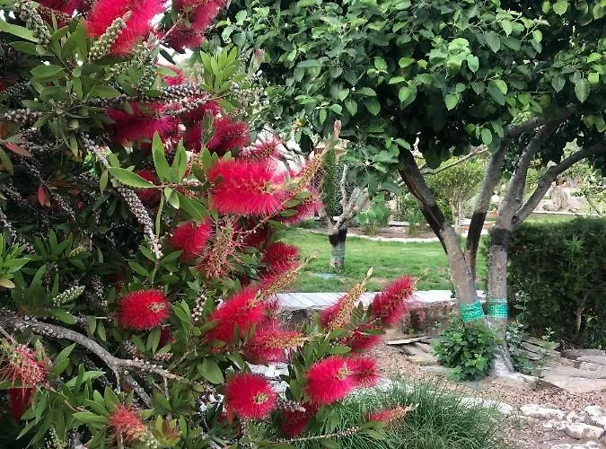 فيلة Pleasant Private Located In A Garden Of 8000m2 With Trees بورتو فيكشْيو